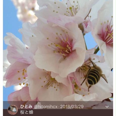 5acc948bef843f4f08001350