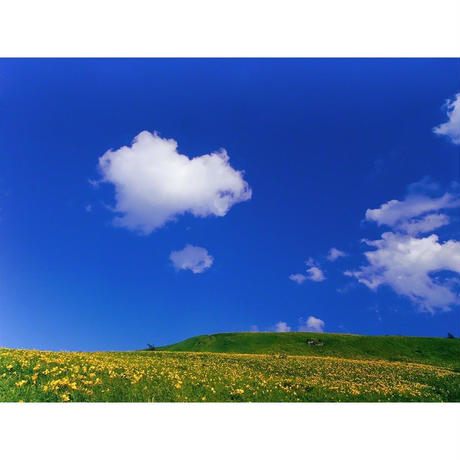 5be3735f434c7275b2000100
