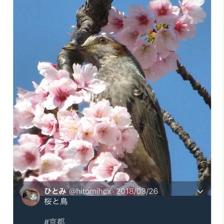 5acc948bef843f4f08001350