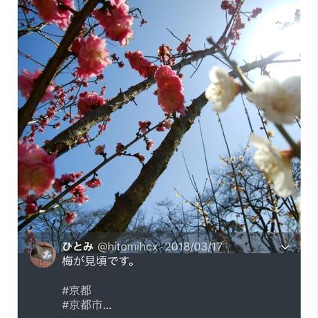 5acc948bef843f4f08001350