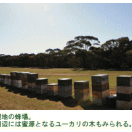 5b3b42de5496ff5053000361