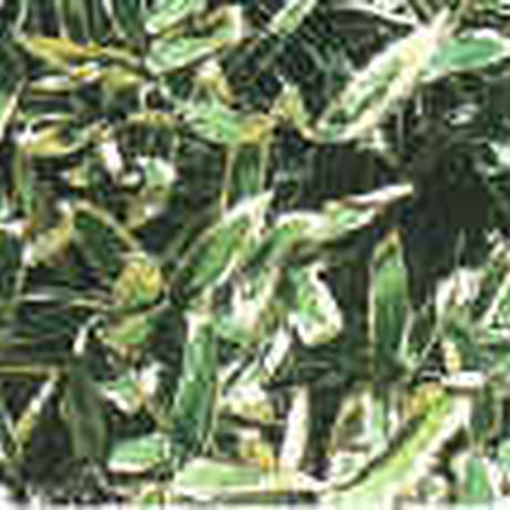5abd78aa122a7d1ffa00269a