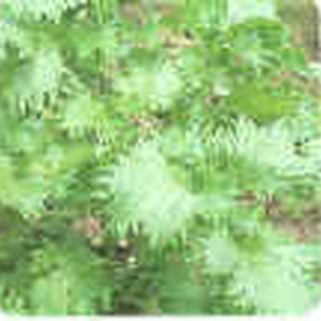 5abd78aa122a7d1ffa00269a