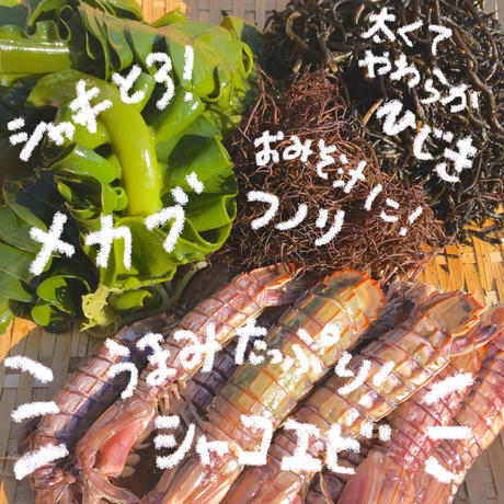 5ea66f7c34ef01795ab32828