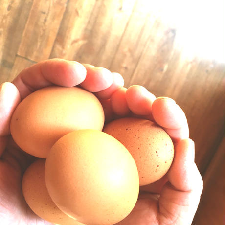 5ec2284055fa031fff06f3c6
