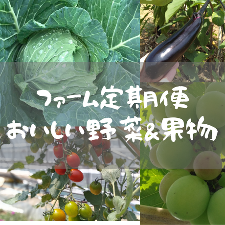 5d37ee544c80646ba1d1408d