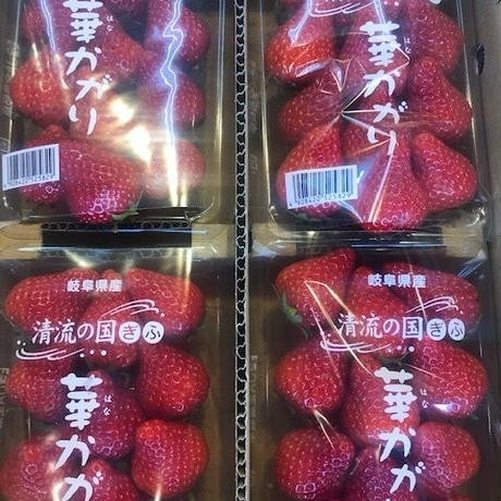 5cceacfdadb2a15c5809f5b6