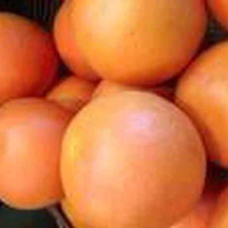 5ac255e95f78664b0d0003e7
