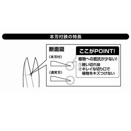5f62e8133ae0f47ba14c7e63