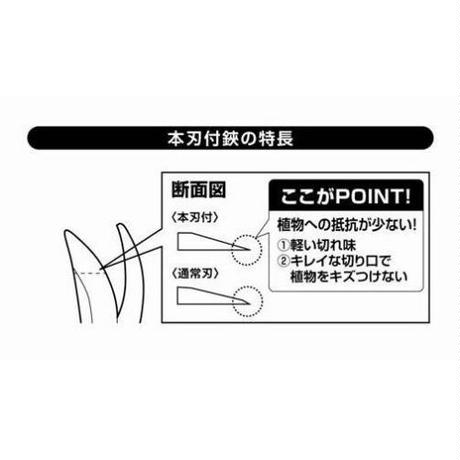 5f62e9defbe5b578ac536d3a
