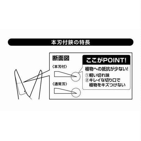 5f62eb8707e1632428d01b8c