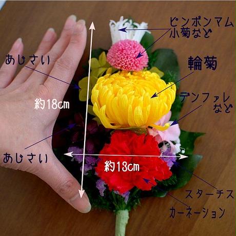 56b851733cd4827dc9000244
