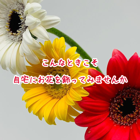 5e6a05699df16363b03b845a