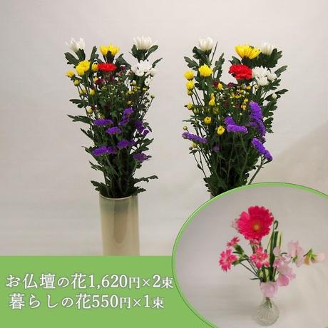 5c093cf42a28627307fef275