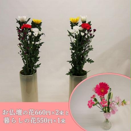 5c093a5b2a28627307fef174