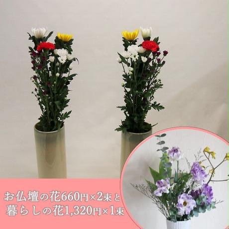 5c09392e7cd3611b4528de86
