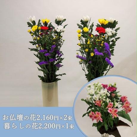 5d89c2d4bc45ac5b525c4883