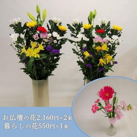 5c09ddc62a28626799fef7e9