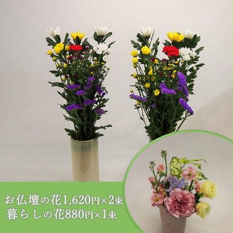 5c093da87cd3611b4528e02c