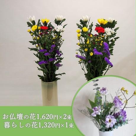 5c093c202a28622591fef102
