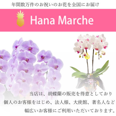 5b41aea1ef843f7bed0008c7
