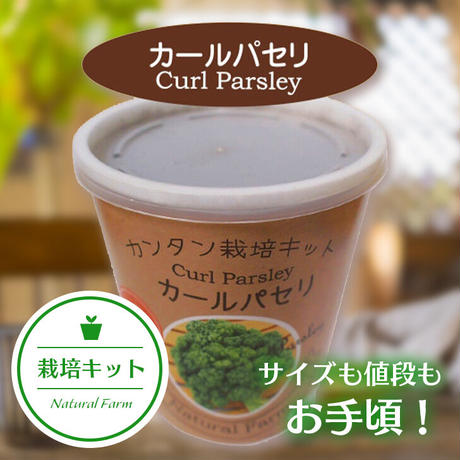 Natural Farm カンタン栽培キット カールパセリ 栽培セット 花さんぽ 種子