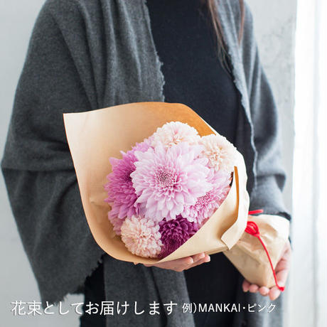 58da12bf997ee2f4430017e1