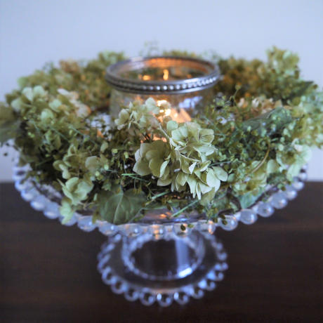 ワイヤープランツ Stores