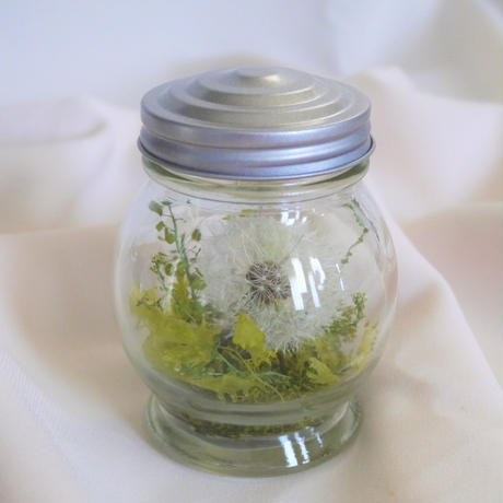 たんぽぽの綿毛 Stores