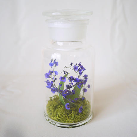 紫色の花 Stores 紫色の花 Stores