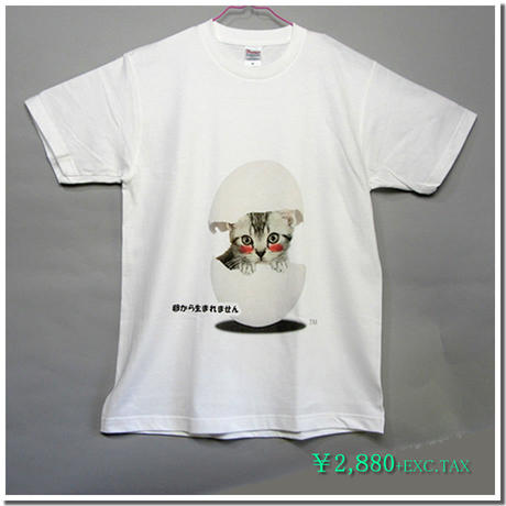 5d5aa72b0838290696813ebd
