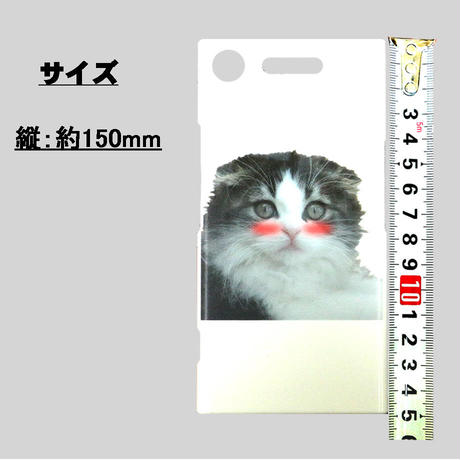 5dc466b1637944061f89cb06