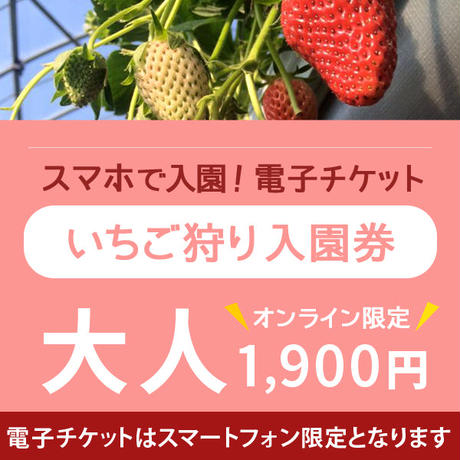 5ba5e4c95496ff23100002a0