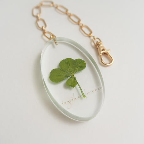 四つ葉のクローバー Stores