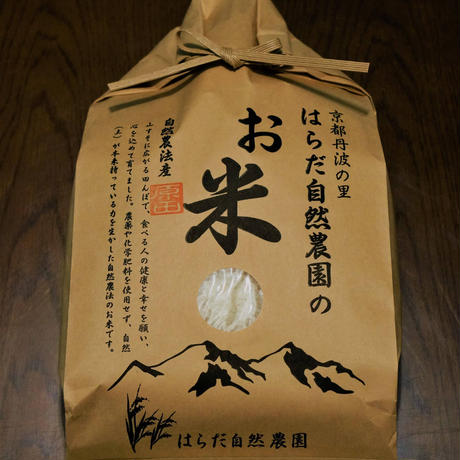 5ddb68ff6c02357f6f331eba