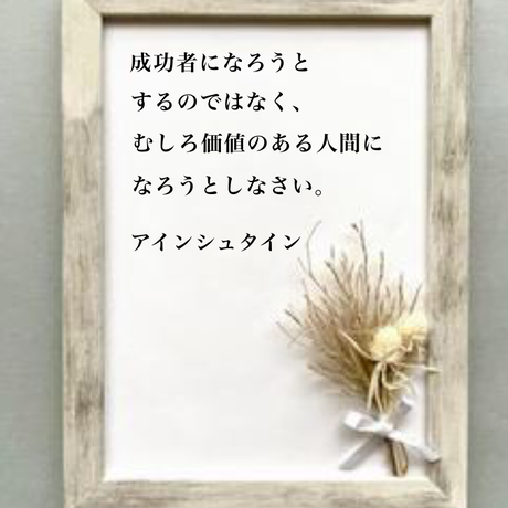 アインシュタイン Stores