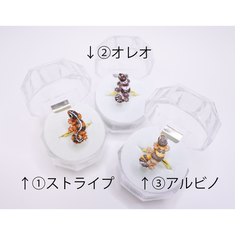 5e5a358196fa434ac328d4cb