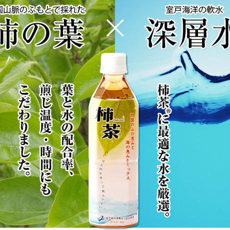 55a26ca5ef3377d437005268