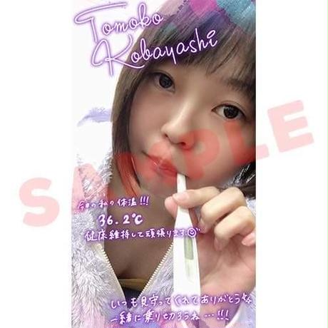 5e8197849df1630afd1ea76f