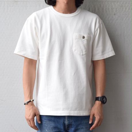 5955fff7b1b619681b001e85