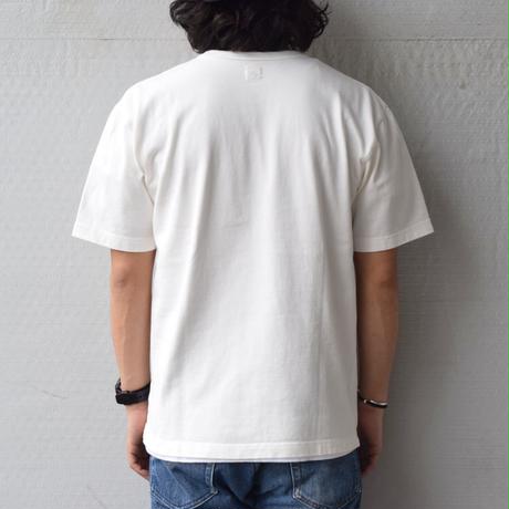 5955fff7b1b619681b001e85