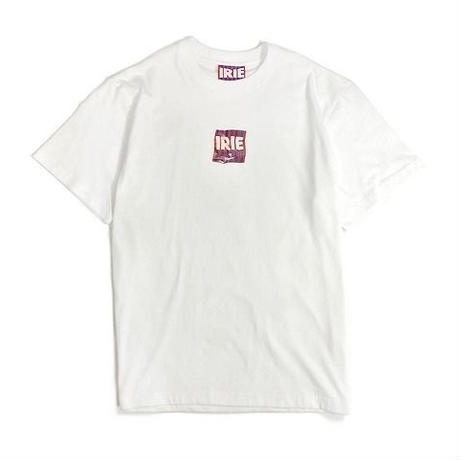 5b6422c850bbc360c300057f