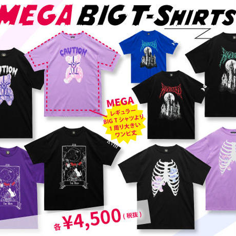 5ec619ce34ef011bd67f4886