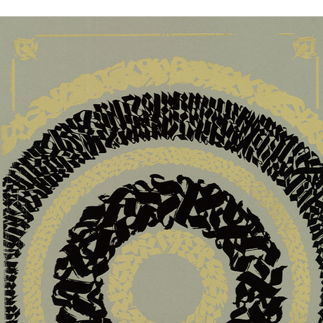 5817250599c3cd3557002294