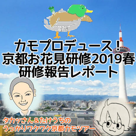 5cbc05d04da85231309c2ae5