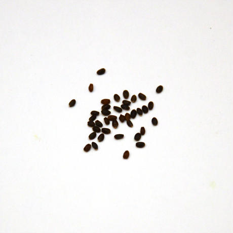 5469a5482b34924519000037