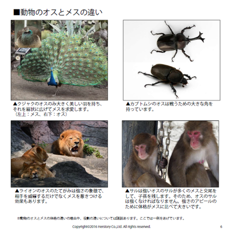 591a592c428f2d26600073b2
