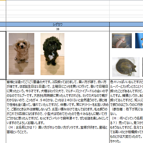 5cb3df054da85275cf6b9db6