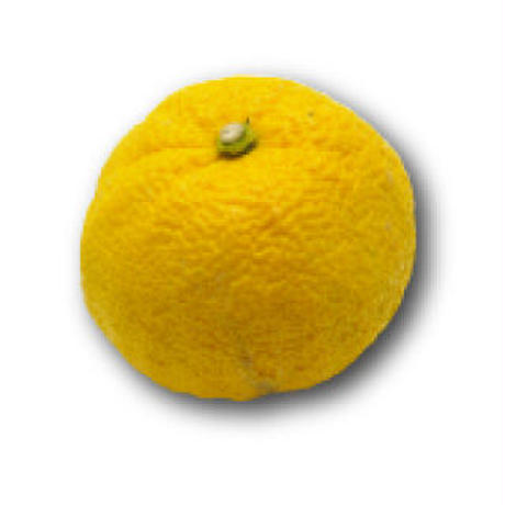 5c53e69a687024676e1ade23