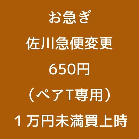 5c870485164eb1412590864a